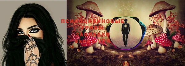 эйфоретик Абаза
