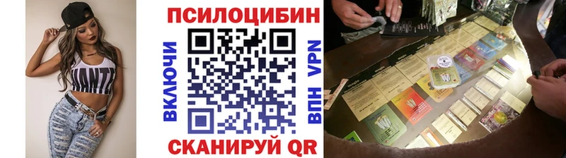 KRAKEN маркетплейс  Циолковский  Галлюциногенные грибы Psilocybine cubensis 